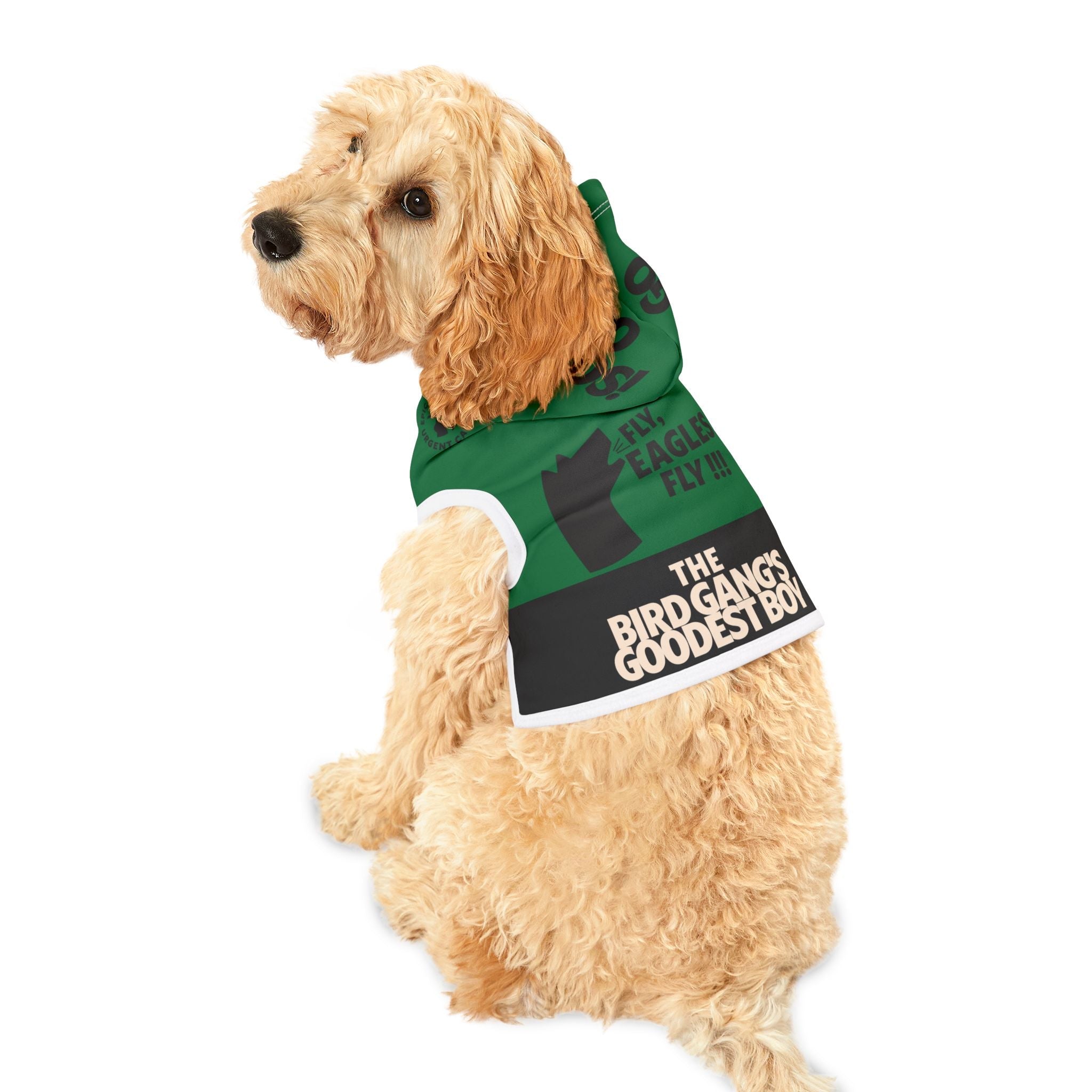 Gifts for your Pet  🐾 🐾🐾 🐾