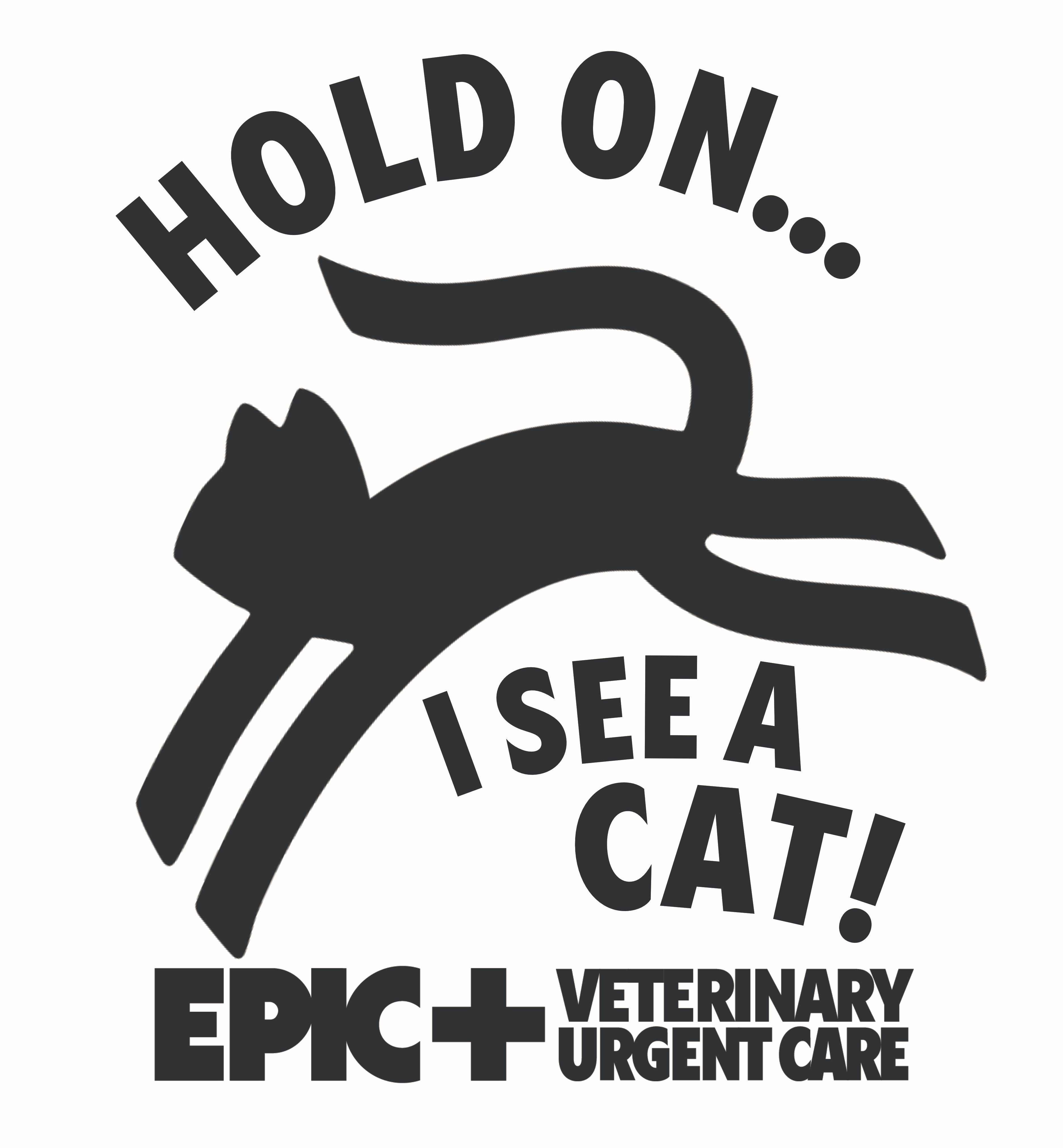 Hold on, I see a cat....