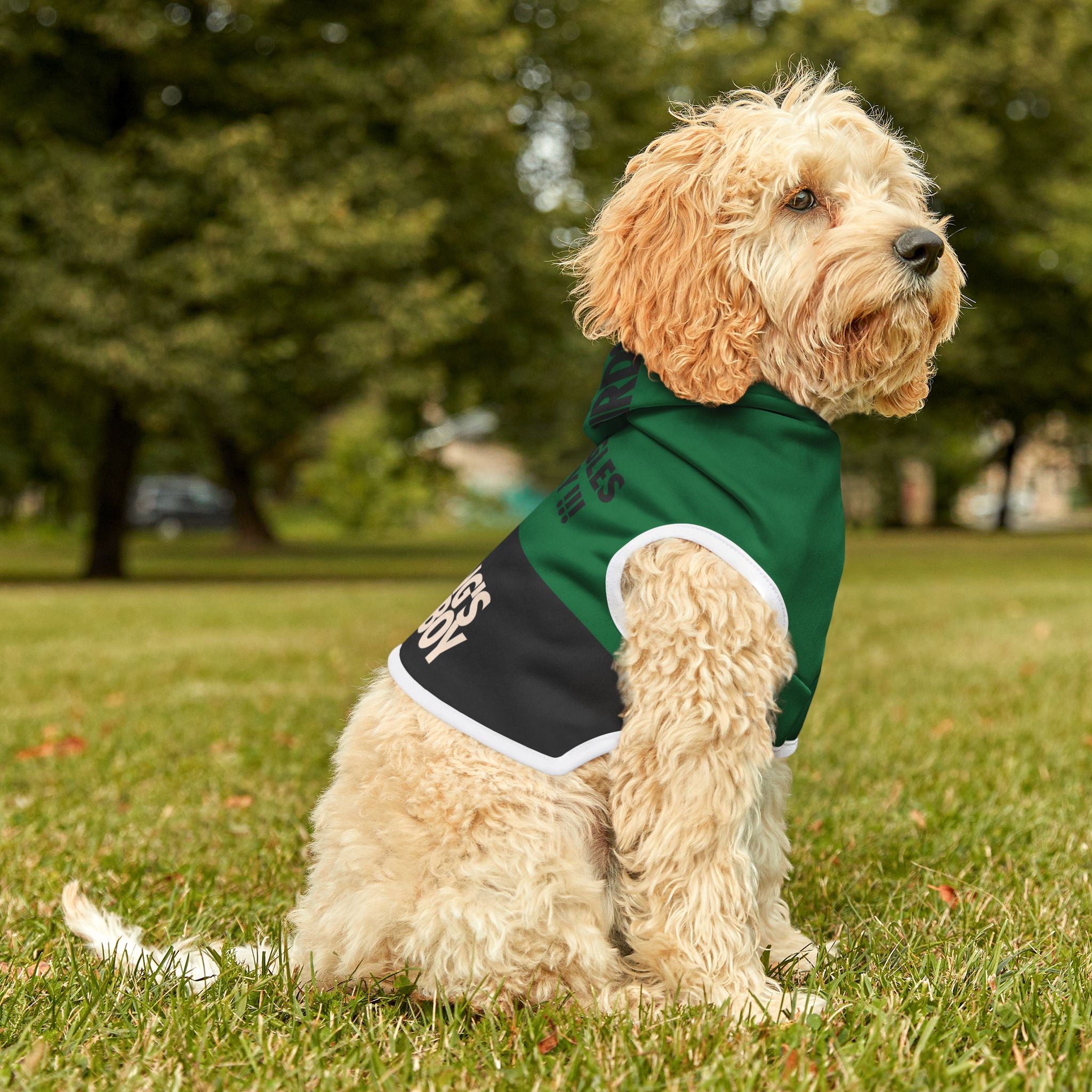 The Bird Gang's Goodest Boy Dog Hoodie 🦅🐾 -  E Fun Pet Apparel, Stylish Dog Hoodie, Cozy Pet Fashion, Perfect Dog Gift, Dog Owner Merchandise
