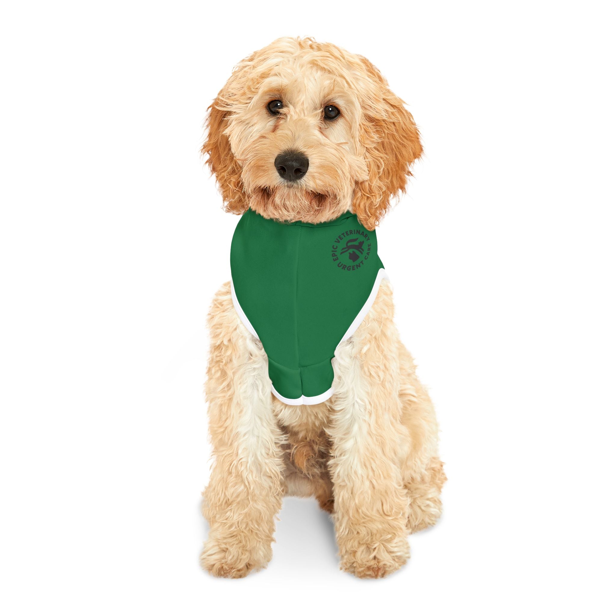 The Birg Gang's Goodest Girl Dog Hoodie 🦅🐾 -  E Fun Pet Apparel, Stylish Dog Hoodie, Cozy Pet Fashion, Perfect Dog Gift, Dog Owner Merchandise