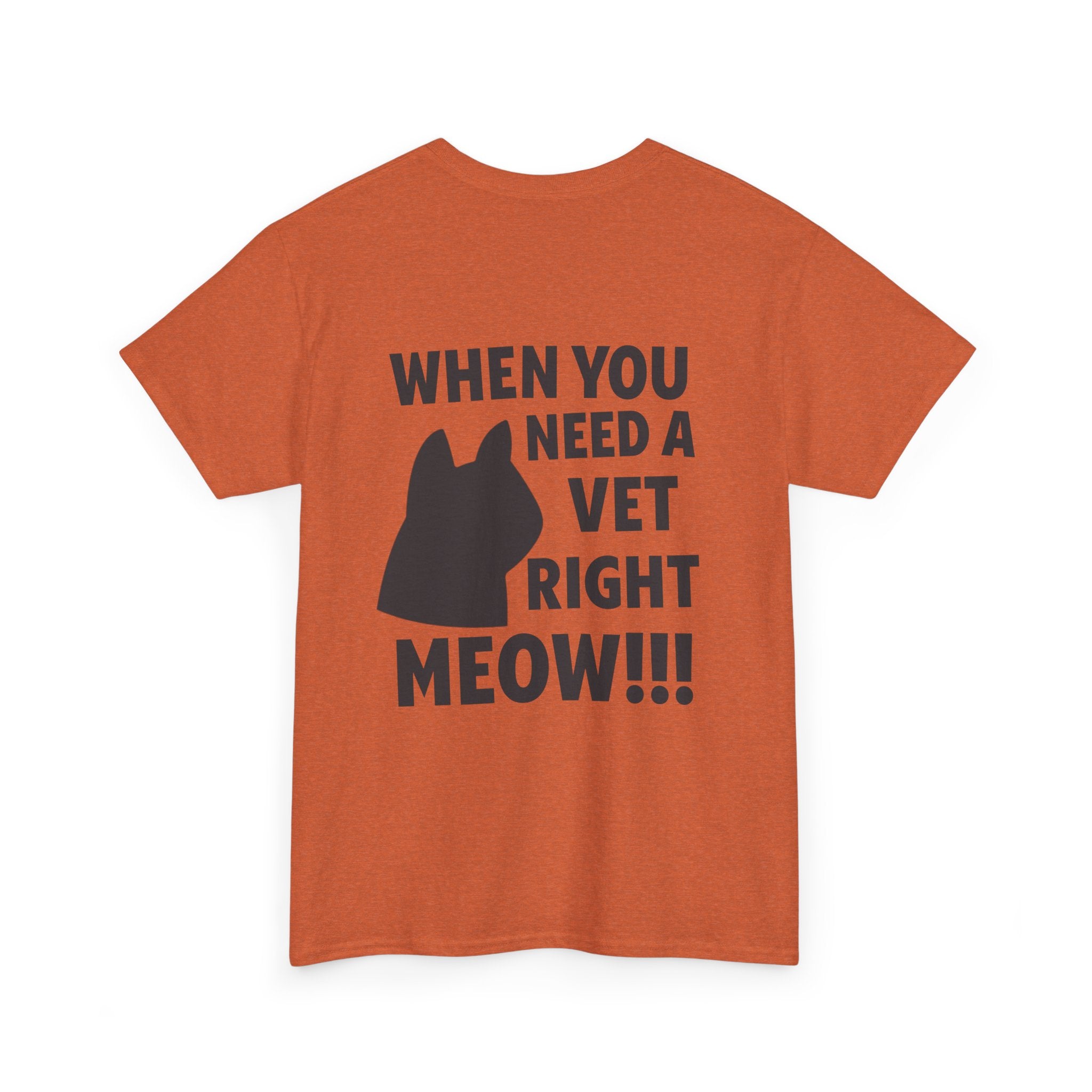 Epic Veterinary Care Unisex Heavy Cotton Tee - Funny Cat Lover Shirt, Pet Owner Gift, Animal Clinic Apparel, Vet Humor Clothing, [...]