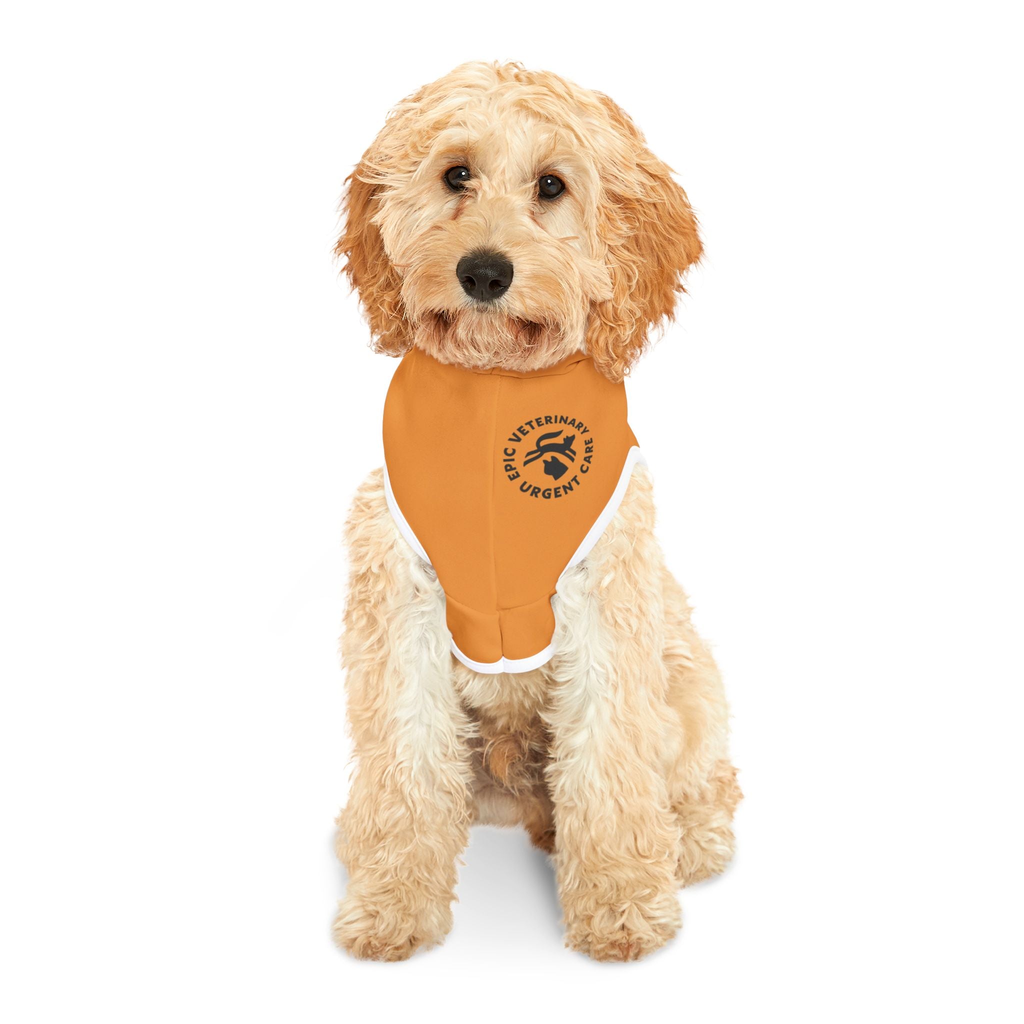 Pet Halloween Hoodie