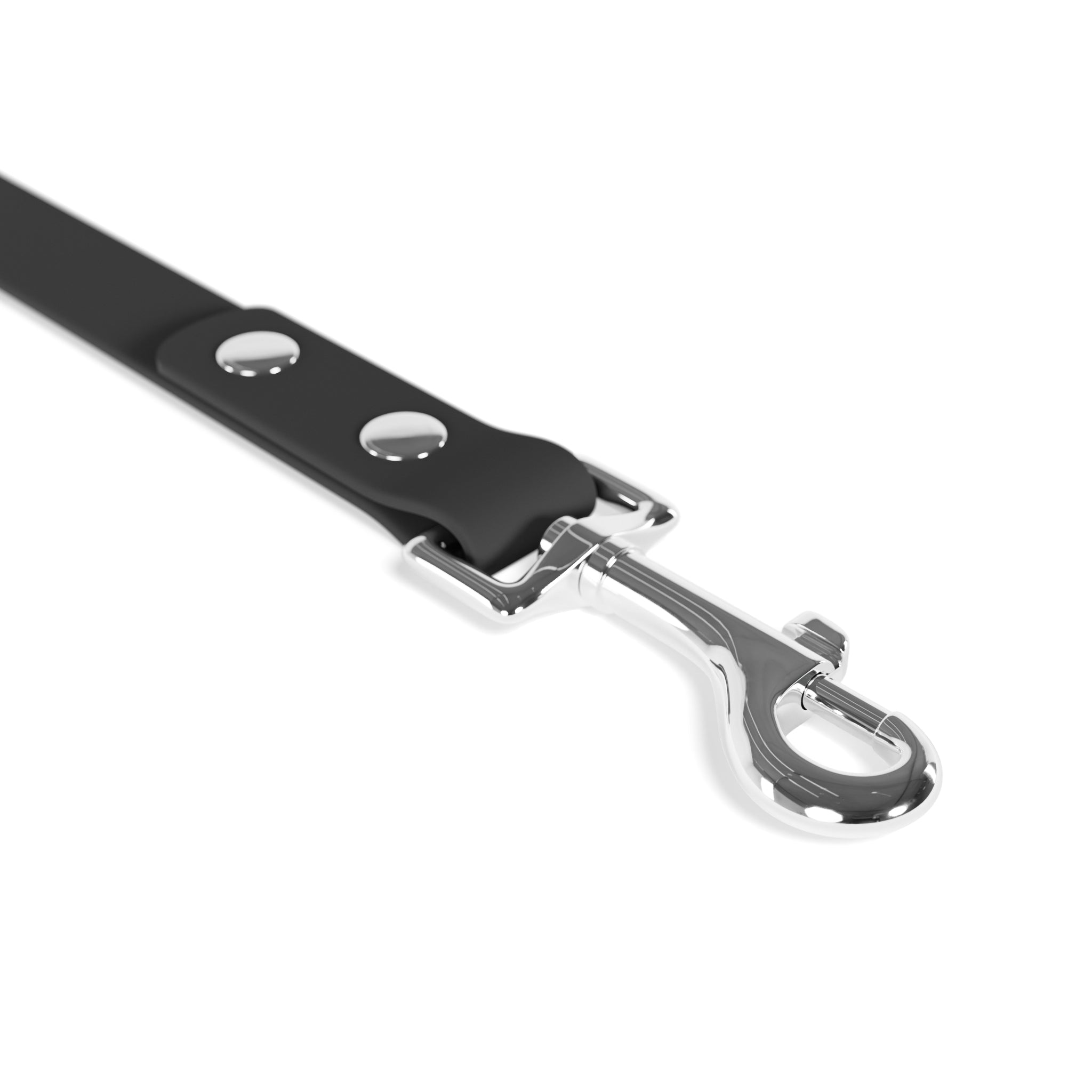 I am an Epic Pet Leash - Stylish Dog Leash for Pets, Perfect for Walks, Pet Lovers Gift, Unique Pet Accessories, I AM AN EPIC PET Design
