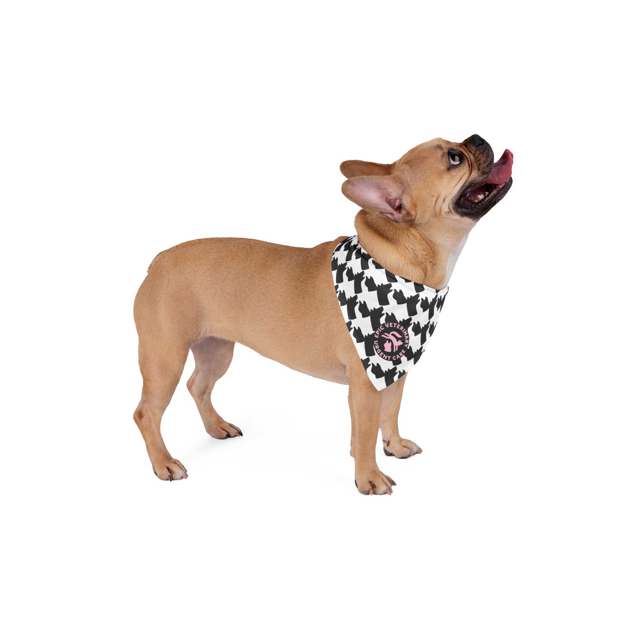 Stylish Pet Bandana for Fashionable Dogs, Pet Accessories, Dog Gift, Cute Dog Bandana, Pet Fashion, Holiday Pet Style