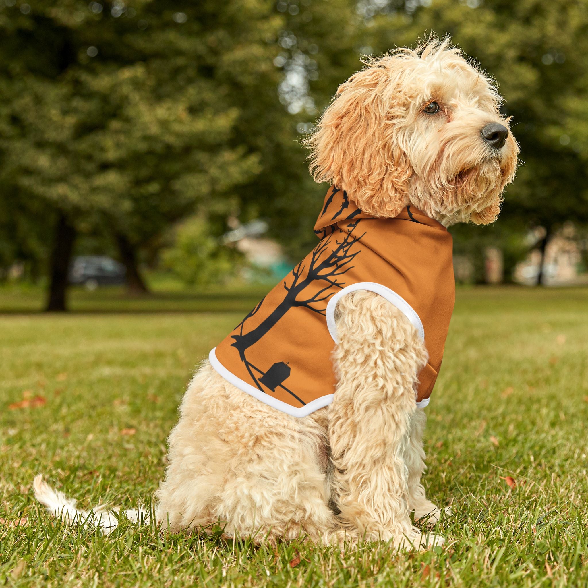 Pet Halloween Hoodie