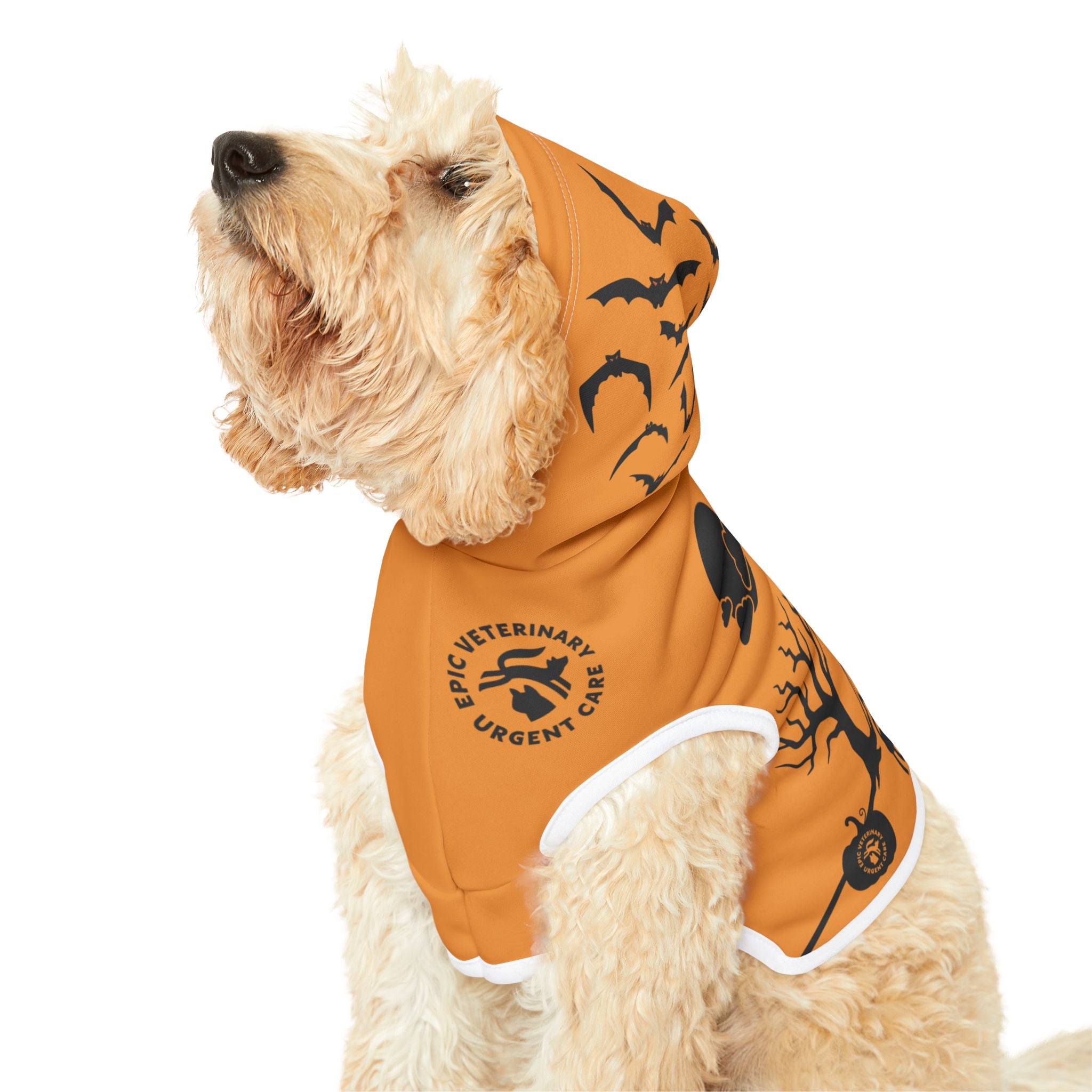 Pet Halloween Hoodie